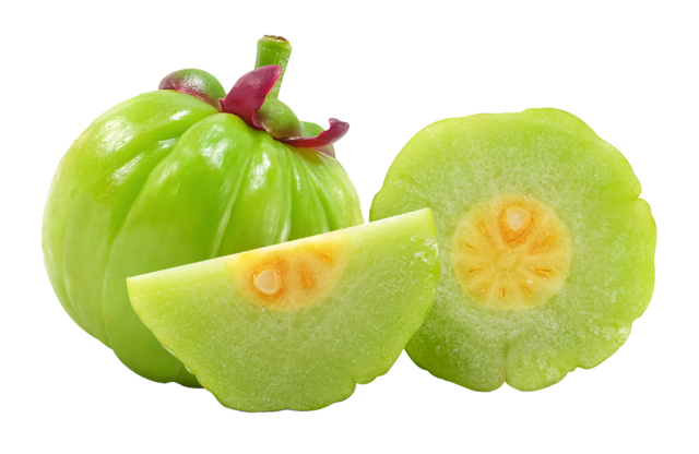 Garcinia cambogia ekstrakt